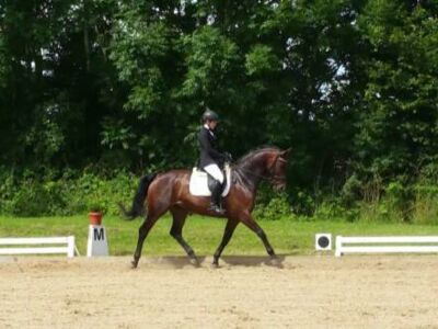 Su Pa Kani von Helloer