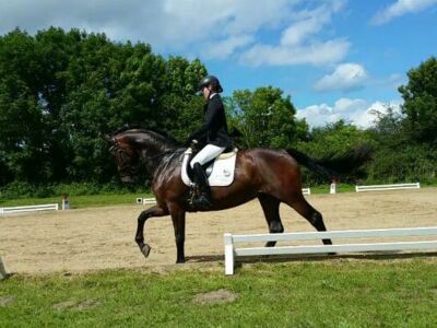 Su Pa Kani von Helloer